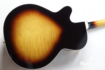 P6NC - Brown Sunburst Gloss